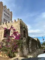 Château - Vino de la Isla - Bild 7