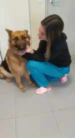 Clínica Veterinària Ca'n Picafort - Bild 6