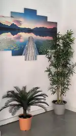 ROSA MASSAGE - Bild 9