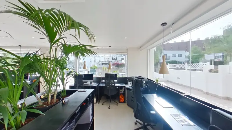 one mallorca - Bild 1