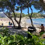 Spar Supermarkt - Bild 9