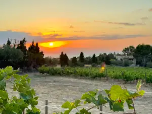 Bodega Conde de SUYROT - Imagen 1