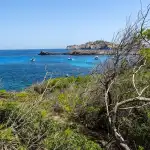 Cala Agulla - Bild 3