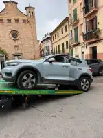 Anke Sevenster - Bild 5