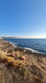 Craneo Palma - Image 8