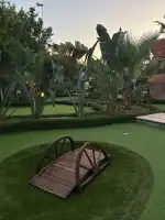 Lost Island Mini Golf - Bild 4