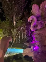 Lost Island Mini Golf - Bild 9