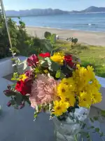 Verd I Groc - Bild 7