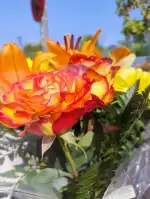 Verd I Groc - Bild 9