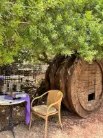 Bodegas Oliver Moragues - Bild 6