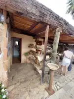 Celler Ramanyà - Bild 10