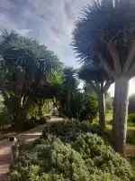 Celler Ramanyà - Bild 4