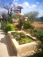 Celler Ramanyà - Bild 5