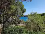 Cala Sa Nau - Image 10