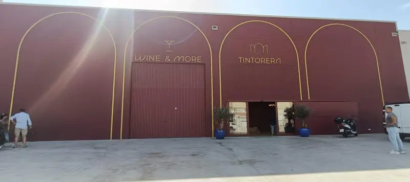 Tintorera Mallorca - Imagen 1