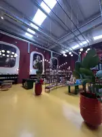 Tintorera Mallorca - Imagen 6