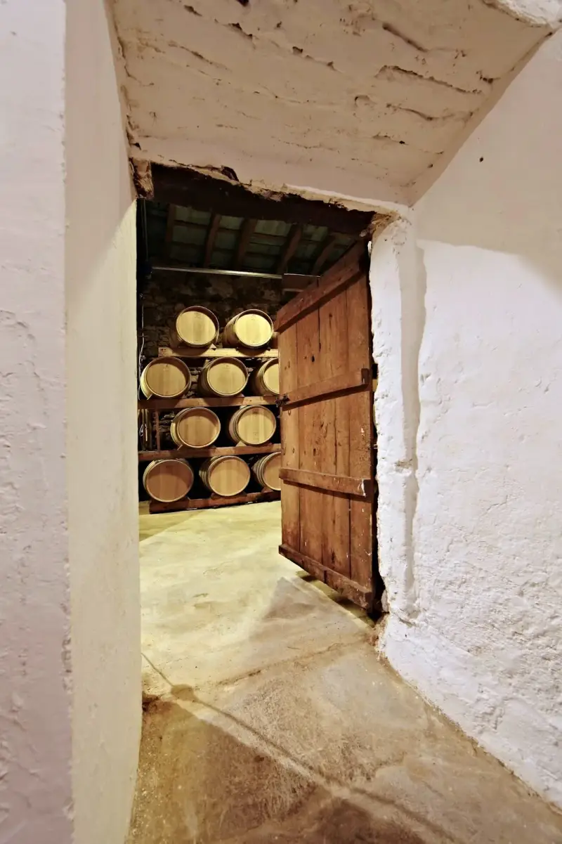Bodega Ribas - Image 1