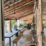 Bodega Ribas - Image 3