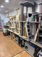 Trixie Balear - Bild 4