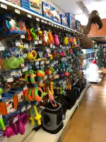 Trixie Balear - Bild 9