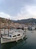 Marina Tramontana - Image 9