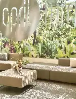 AHOY! Art Gallery Palma - Bild 9