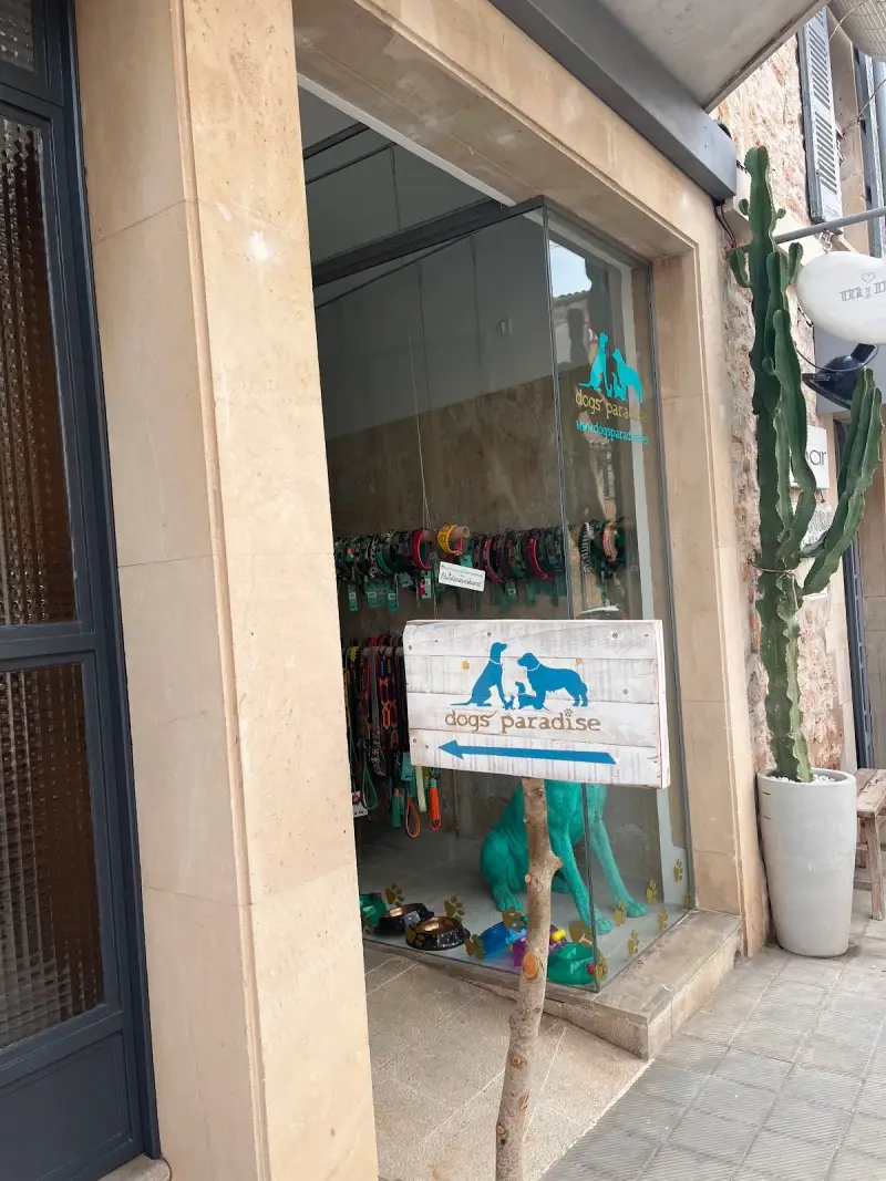 Dogs Paradise - Bild 1