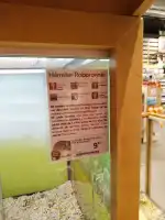 Kiwoko Mundo Animal - Bild 9