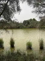 Es Cibollar 2 - Image 5