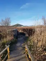 Es Cibollar 2 - Image 8