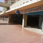 Central Vet Palma - Bild 3