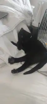 Central Vet Palma - Bild 5