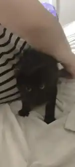 Central Vet Palma - Bild 9