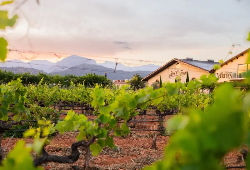 Bodegas José L. Ferrer - Image 1