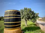Bodega Maruccia - Imagen 9