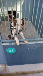 Canera Municipal de Son Reus