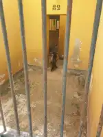 Canera Municipal de Son Reus - Imagen 3