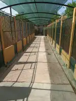 Canera Municipal de Son Reus - Imagen 6