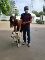 Canera Municipal de Son Reus - Imagen 8