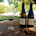 Bodega Finca Son Bordils