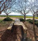 Bodega Finca Son Bordils - Bild 9