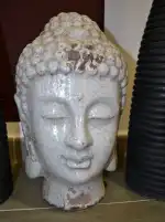 SCHMIEDER Deutscher Zahnarzt - Bild 7