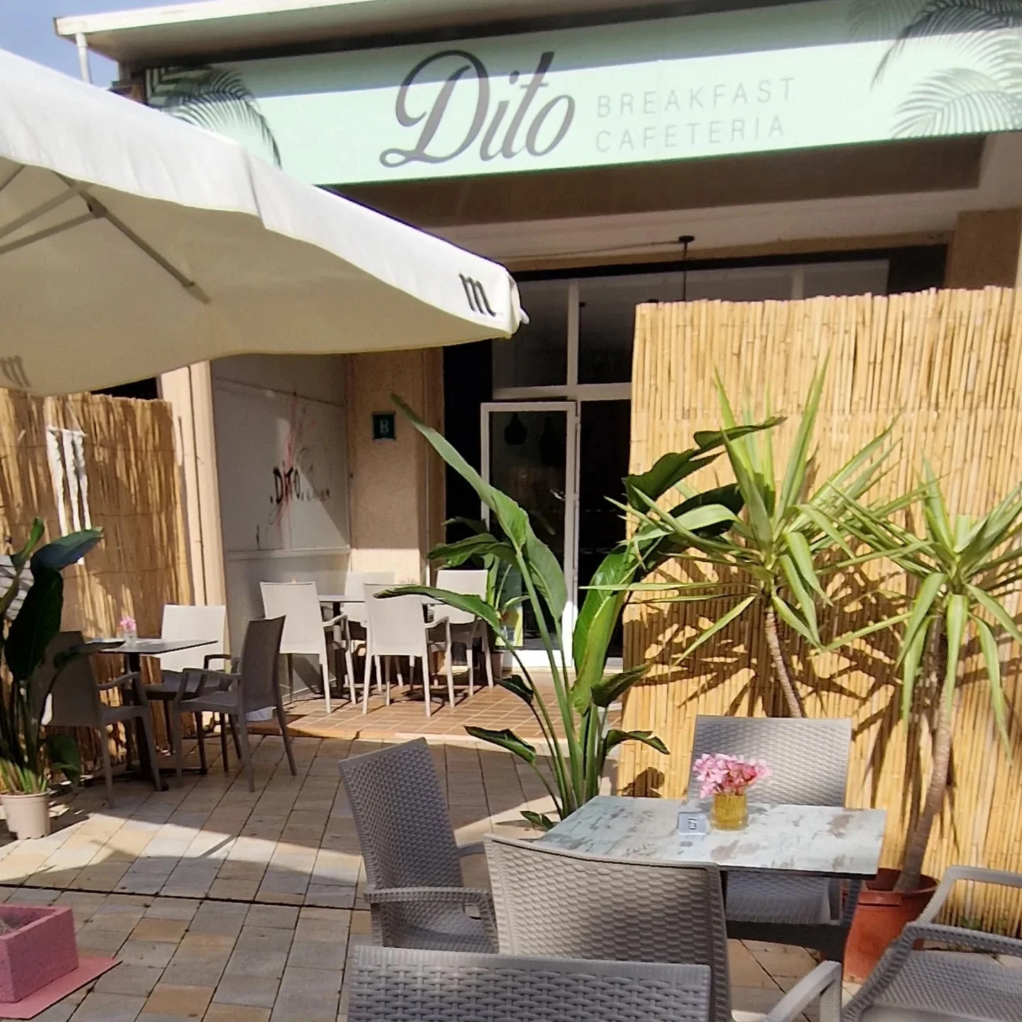 Dito - Bild 1