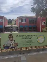 Clinica Veterinaria Bendinat - Bild 3