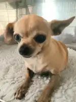 Clinica Veterinaria Bendinat - Bild 9