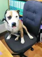 Clinica Veterinaria Bendinat - Bild 7