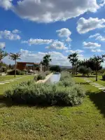 My Landscaping Group - Bild 4