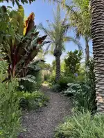 My Landscaping Group - Bild 9