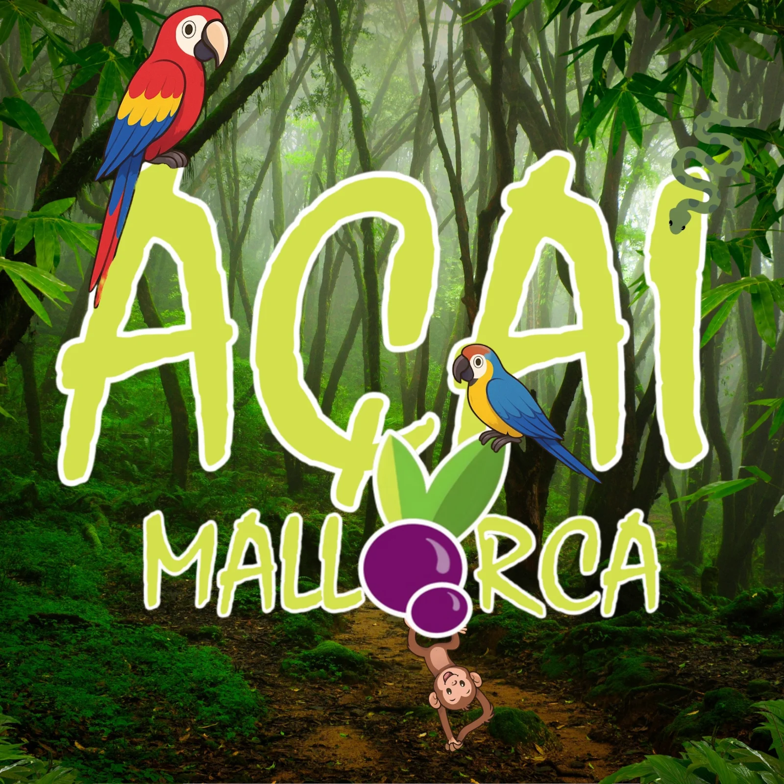 Açai - Image 1