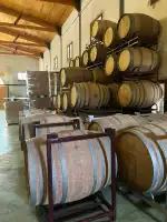 Bodega Son Vich de Superna - Bild 8